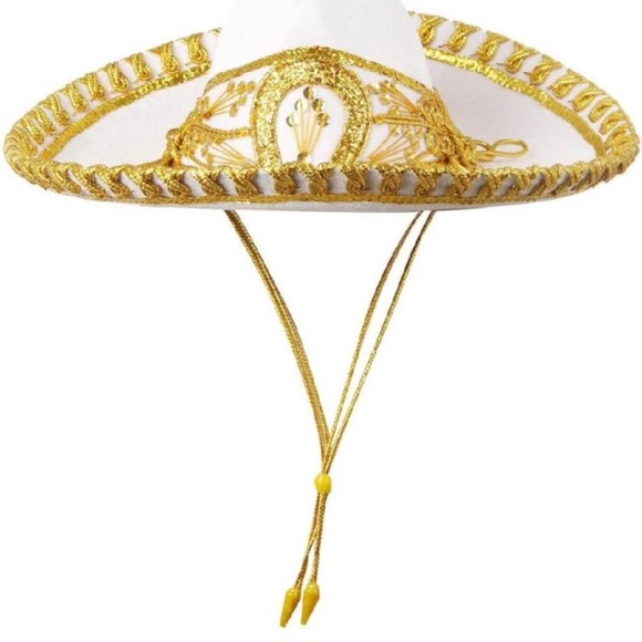 Charro/Mariachi Suit - Picture 3 of 5